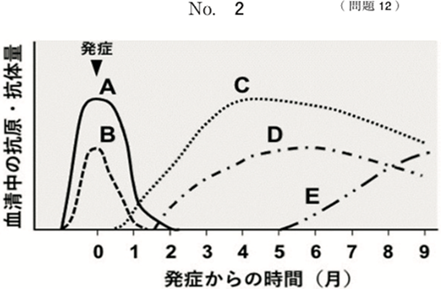 B型急性肝炎における抗体の推移